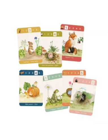 Jeu de 7 familles le jardin - Moulin Roty