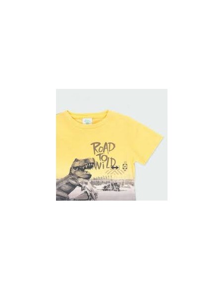 T shirt dino bebe garçon  6 mois