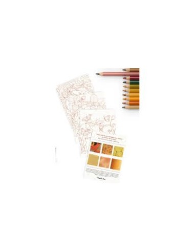 12 crayons de couleur + cartes animaux - Moulin roty