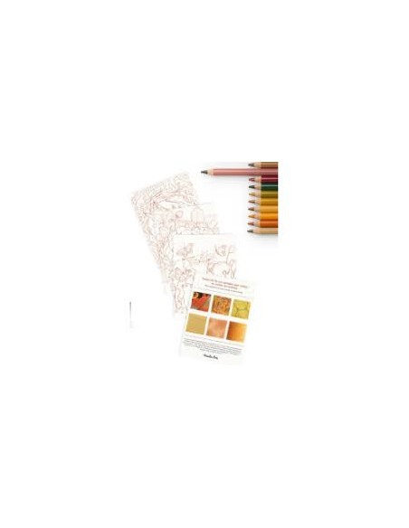 12 crayons de couleur + cartes animaux - Moulin roty