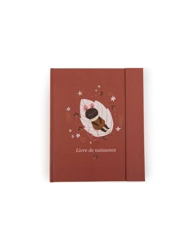 Livre de Naissance Après la Pluie - Moulin Roty