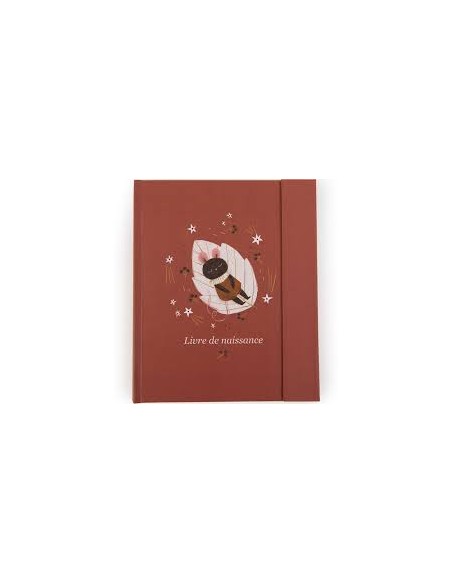 Livre de Naissance Après la Pluie - Moulin Roty