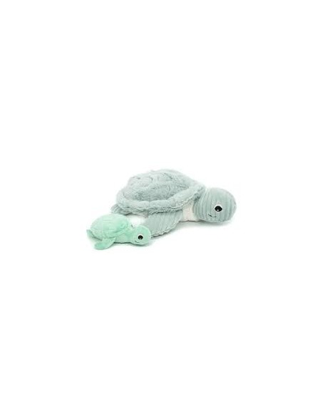 Tortue verte et son bébé - Les deglingos