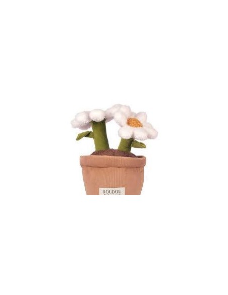 Doudou botanique marguerite - Doudou et compagnie