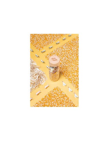 Bouteille Sensorielle Ferme - Petit Boum