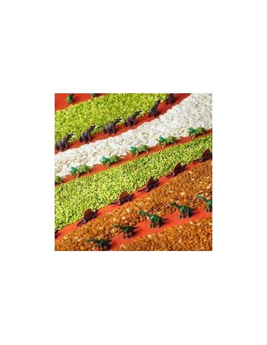 Bouteille sensorielle jurassic - Petit boum