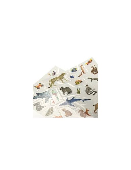 Tatouages éphémères tout autour du monde - Moulin Roty