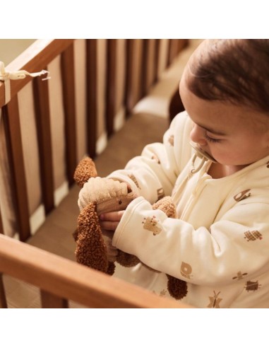 Doudou attache sucette Diego le chien – Jollein