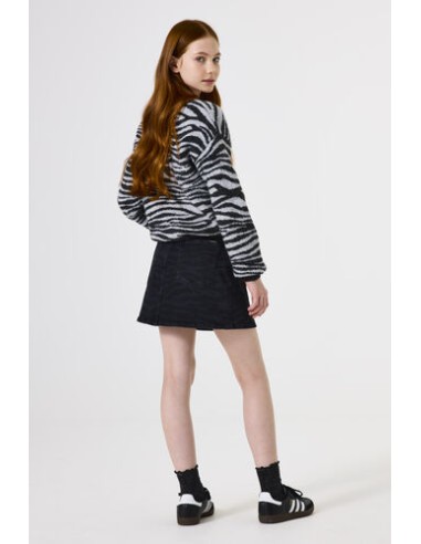 Pull zebre - Garcia