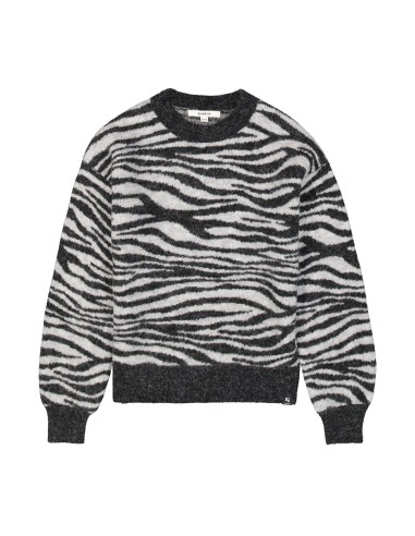 Pull zebre - Garcia