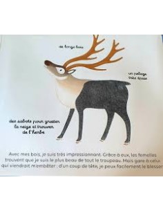 Livre à toucher Les animaux du froid - Milan 2