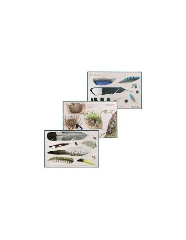 Coffret pédagogique “À la découverte des oiseaux” – Moulin Roty