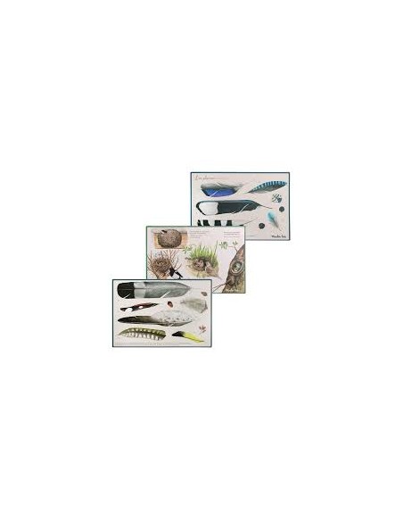 Coffret pédagogique “À la découverte des oiseaux” – Moulin Roty