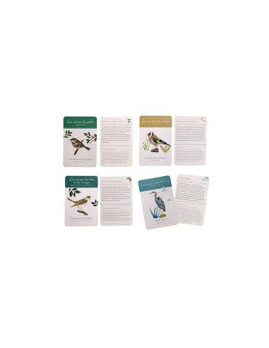 Coffret pédagogique “À la découverte des oiseaux” – Moulin Roty