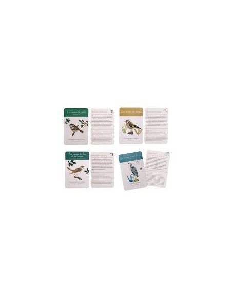 Coffret pédagogique “À la découverte des oiseaux” – Moulin Roty
