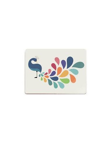 Set de Peinture à l’Eau Andy Westface – Vilac | Coffret Créatif pour Enfants dès 3 Ans