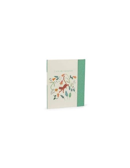 Livre de naissance la foret de Mawa - Moulin Roty