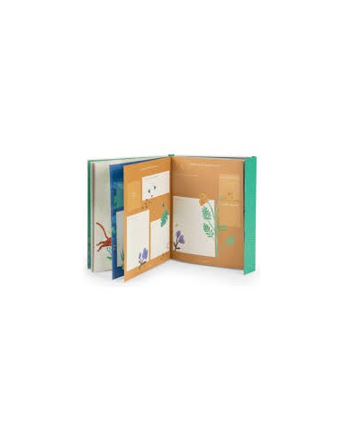 Livre de naissance la foret de Mawa - Moulin Roty
