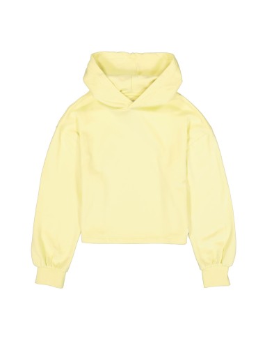 Sweat lemon twist - Garcia