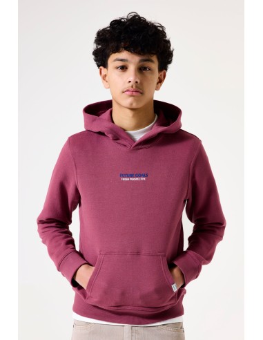 Sweat jester red -Garcia