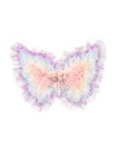 Ailes beate multi color - Souza for kids