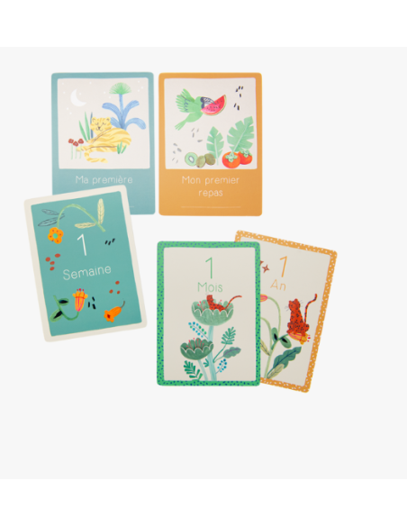 Cartes Mes 12 premiers mois - Moulin roty