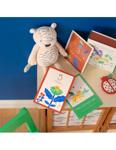 Cartes Mes 12 premiers mois - Moulin roty