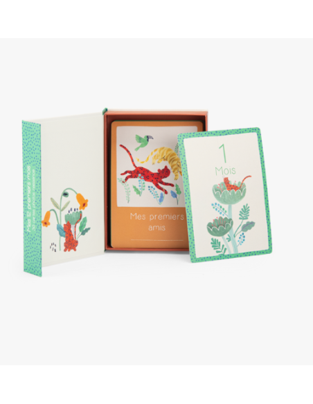 Cartes Mes 12 premiers mois - Moulin roty