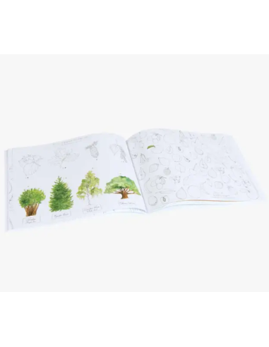 Cahier d'activités Dans mon jardin - Moulin roty