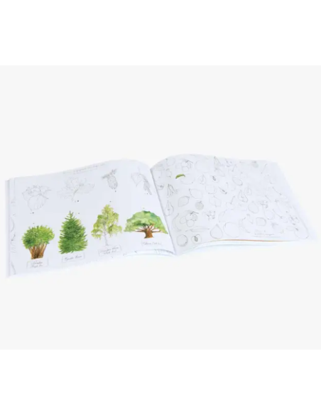 Cahier d'activités Dans mon jardin - Moulin roty