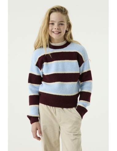 Pull black berry - Garcia