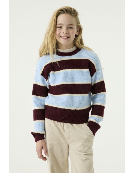 Pull black berry - Garcia