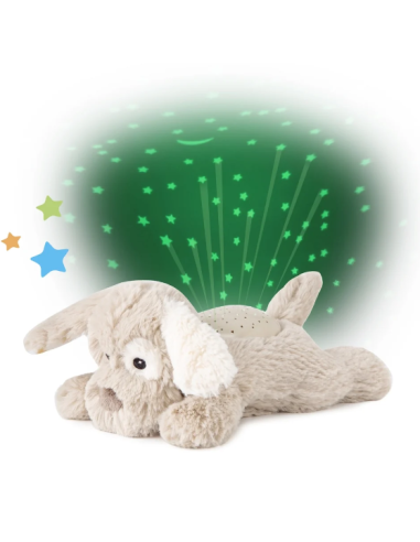 Dream buddies - Patch le chiot - Cloud B
