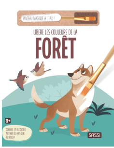 Libère les couleurs de la forêt - Sassi