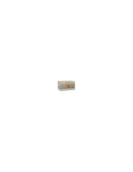 Bus scolaire avec figurines FSC Little dutch