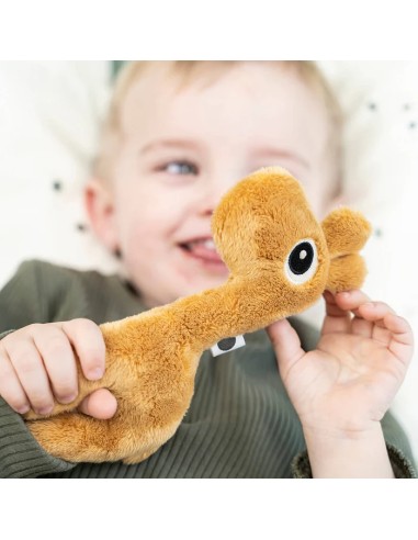 Tiny rattles deer friends raffi mustard