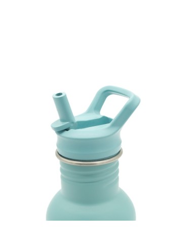 Gourde Ours 500ml - Sassi