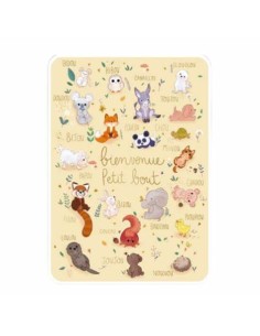 Carte bienvenue petit bout