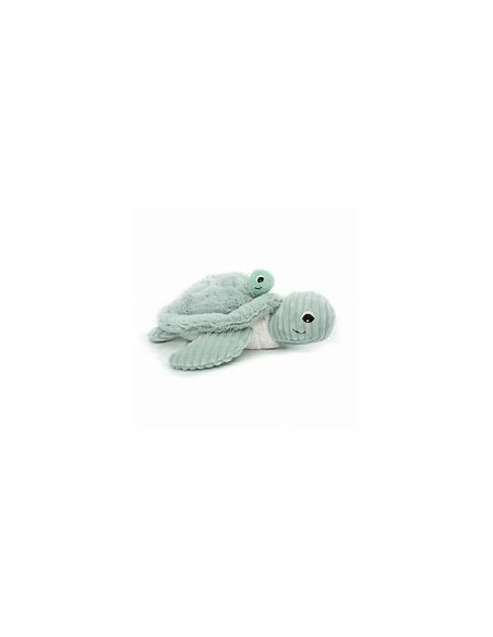 Tortue verte et son bébé - Les deglingos